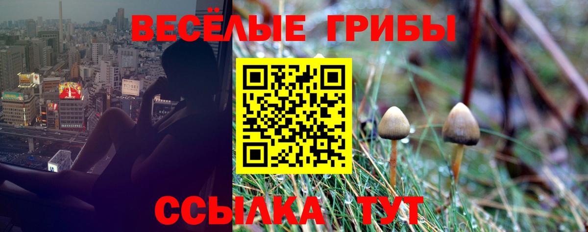где купить   Псилоцибиновые грибы GOLDEN TEACHER  Вход с VPN  Серпухов 